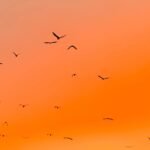 The Art of Slow Luxury Travel with Kimochi Voyages