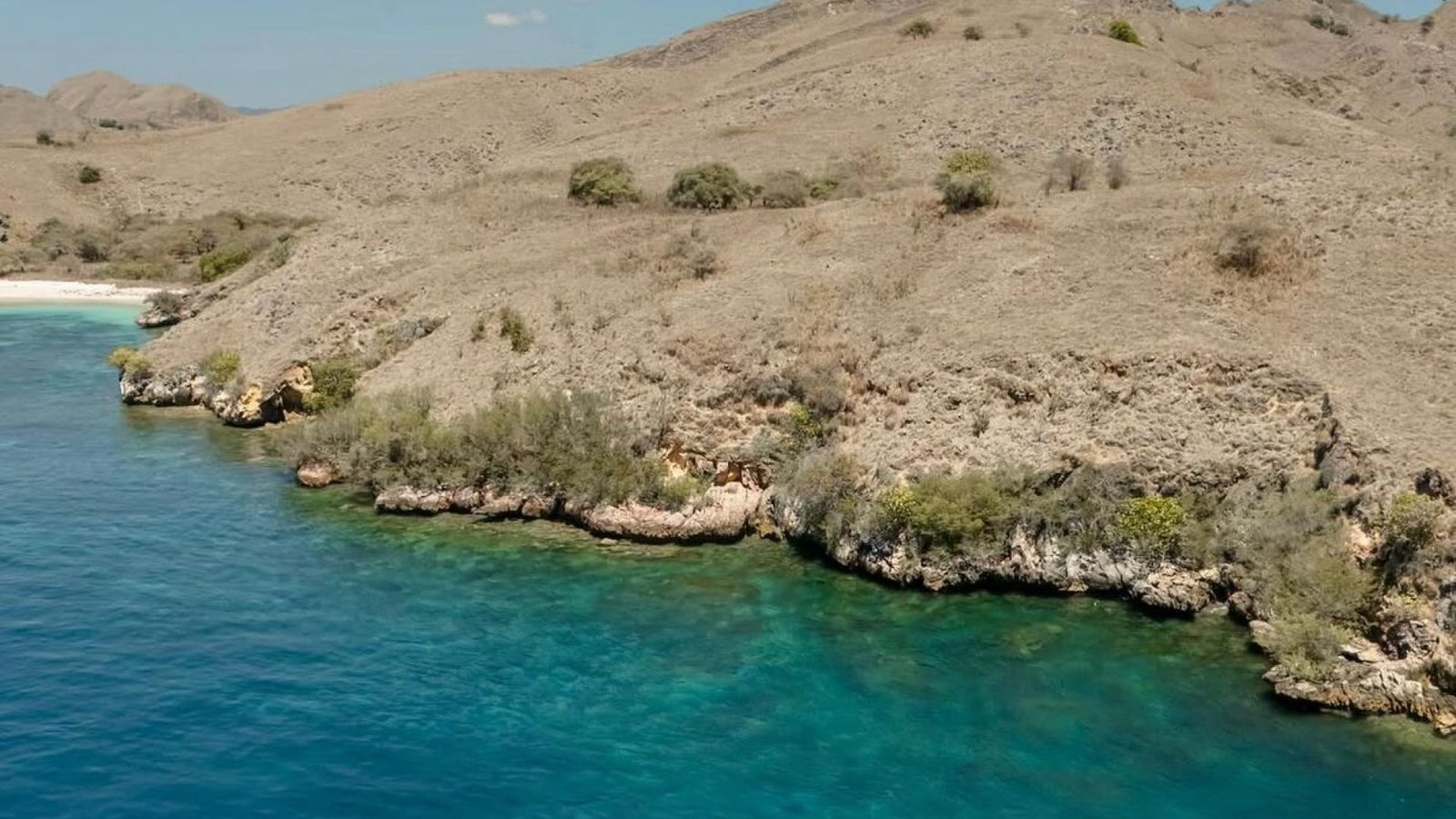 6178cf5f-b95f-44eb-a051-d2572b0da442