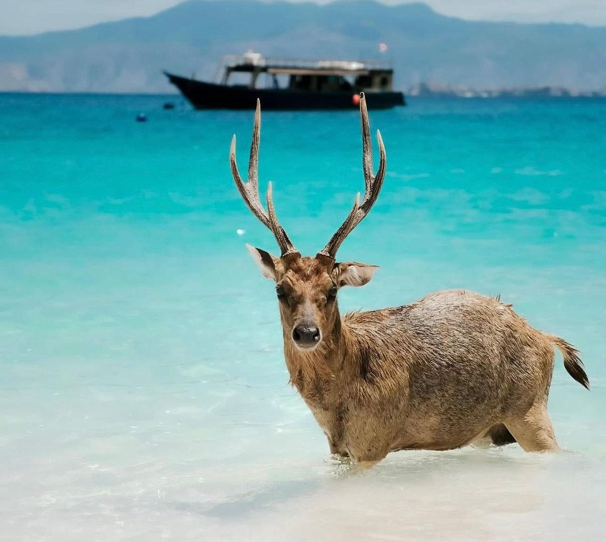 6efdb9f1-bbbc-4a9a-875e-cf8f419ea624