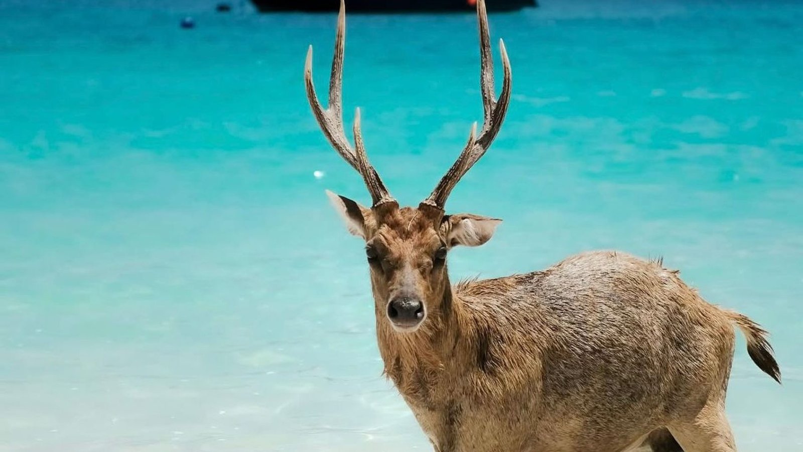 6efdb9f1-bbbc-4a9a-875e-cf8f419ea624